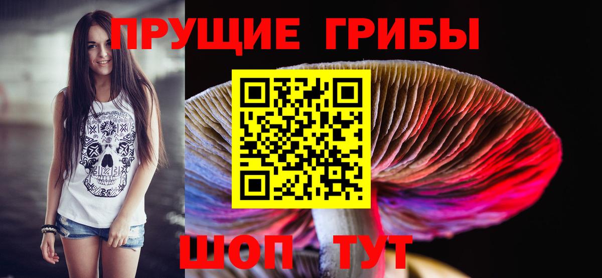 Волгодонск  Галлюциногенные грибы мицелий  Галлюциногенные грибы Psilocybe  Вход с VPN 